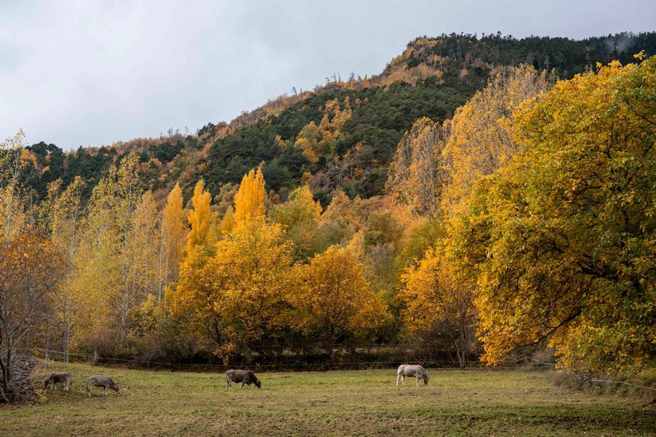 Casa Rural Besoli Areu エクステリア 写真